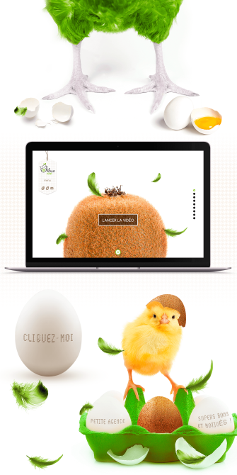 La poule kiwi - Réalisation du site internet et de l'identité visuelle